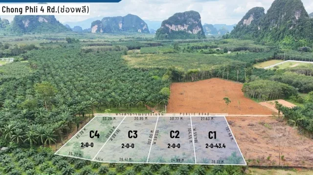 Land Nong Thale 8-0-0