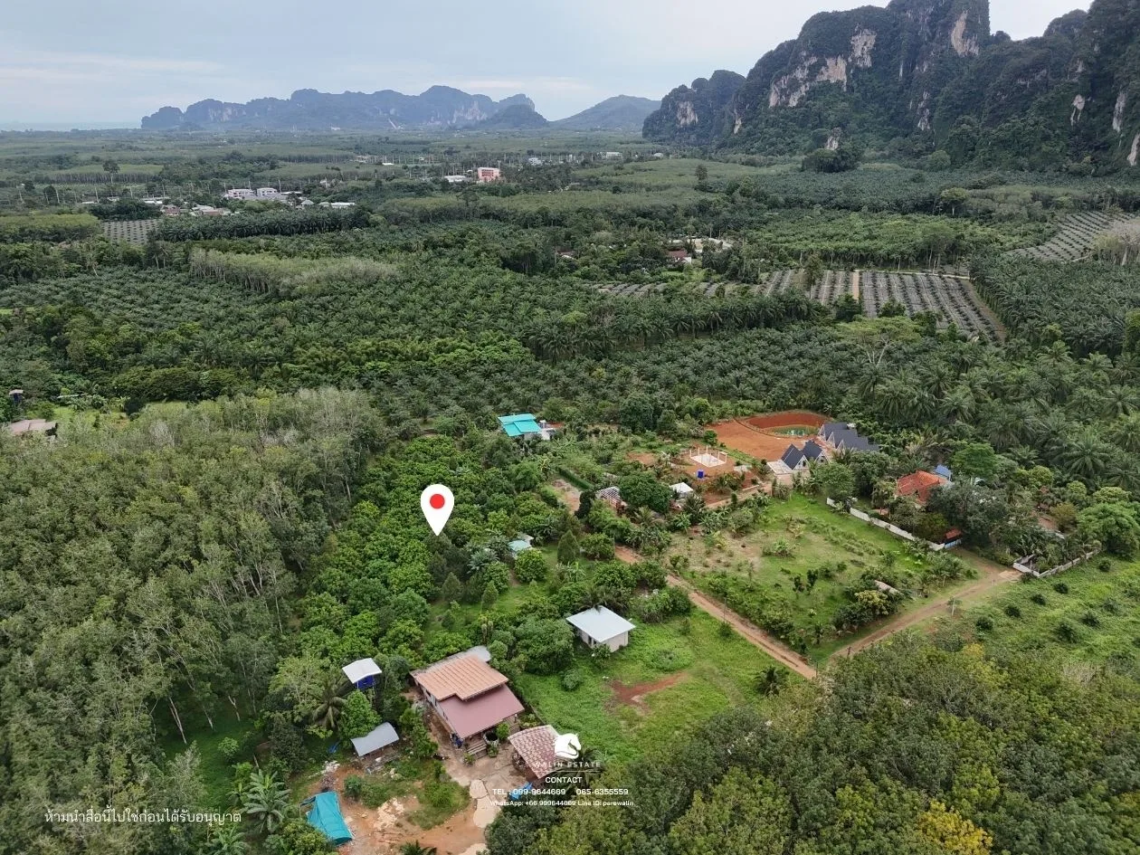 Land Sai Thai 3-1-52 — property photo 3