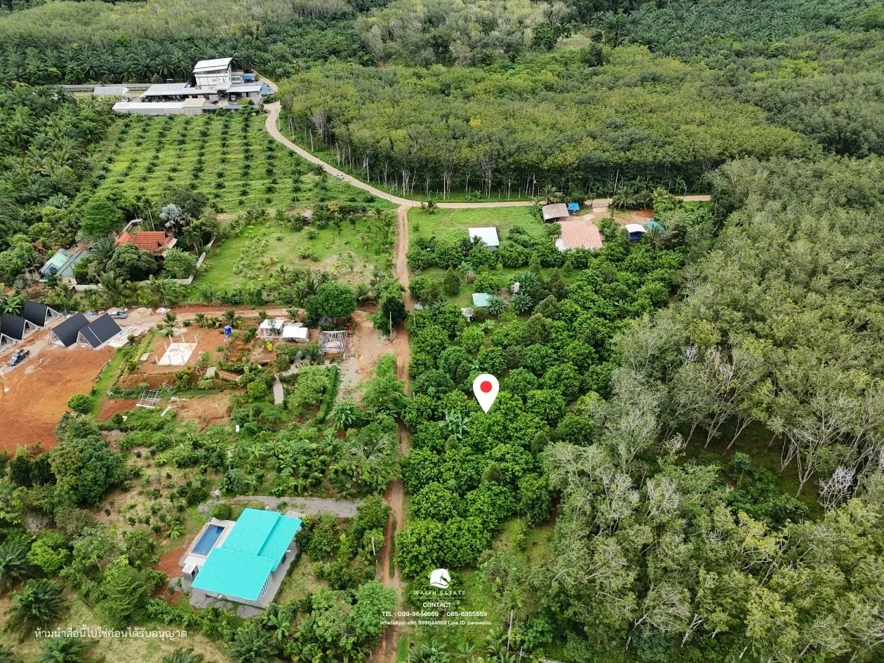 Land Sai Thai 3-1-52 — property photo 4