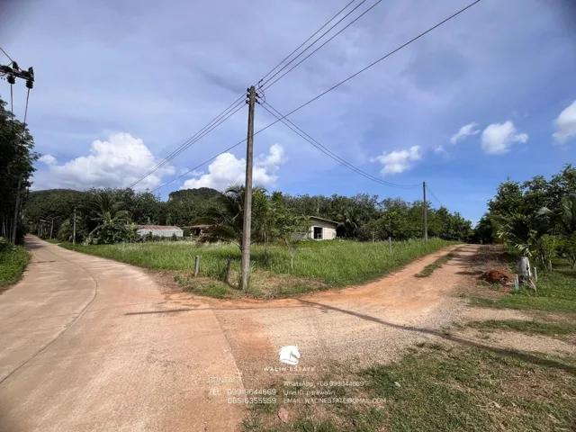 Land Sai Thai 3-1-52 — photo 9