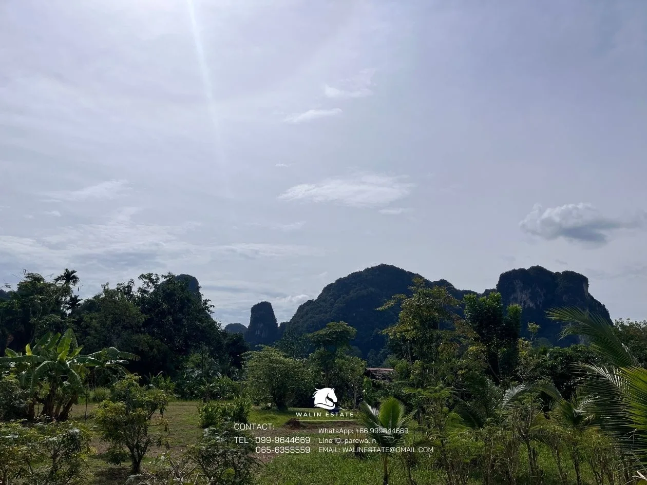 Land Sai Thai 3-1-52 — property photo 5