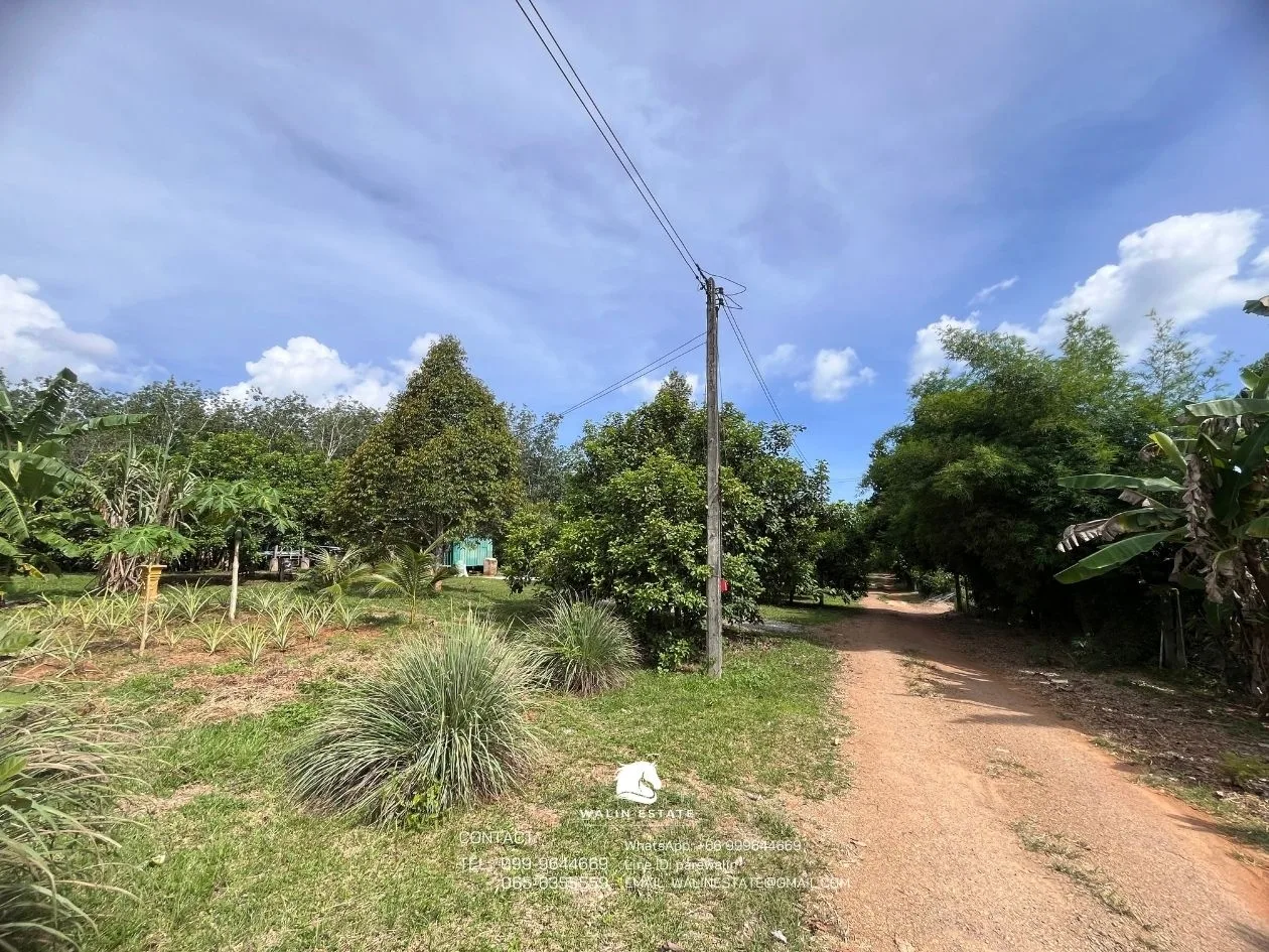 Land Sai Thai 3-1-52 — property photo 8