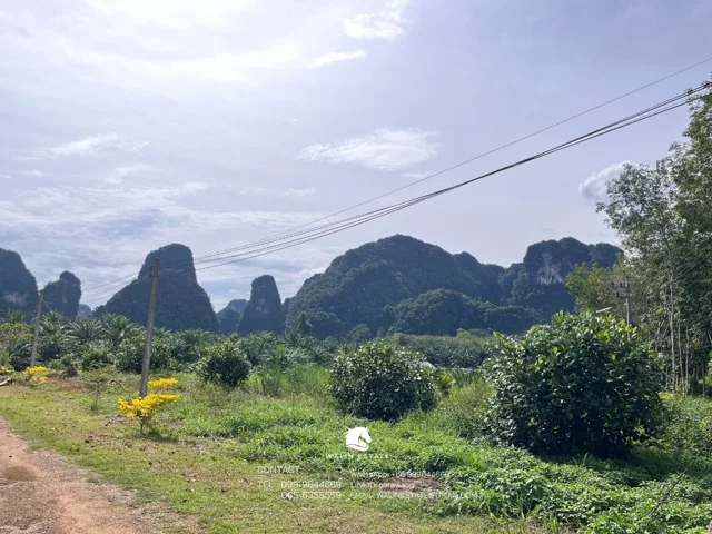 Land Sai Thai 3-1-52 — photo 10