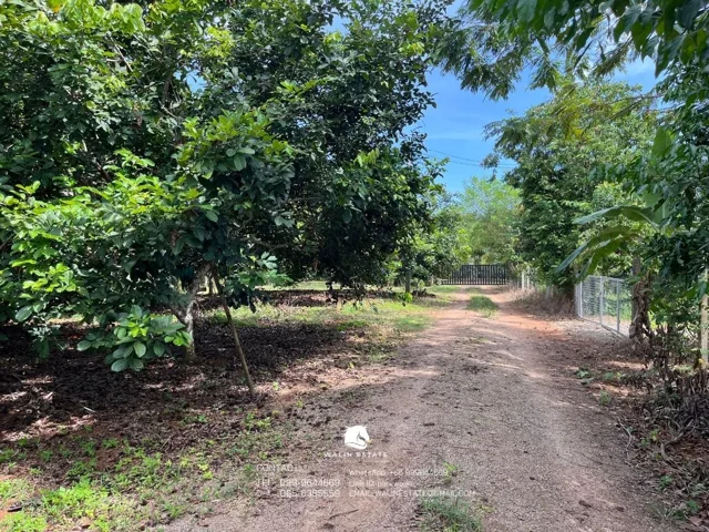 Land Sai Thai 3-1-52 — photo 7