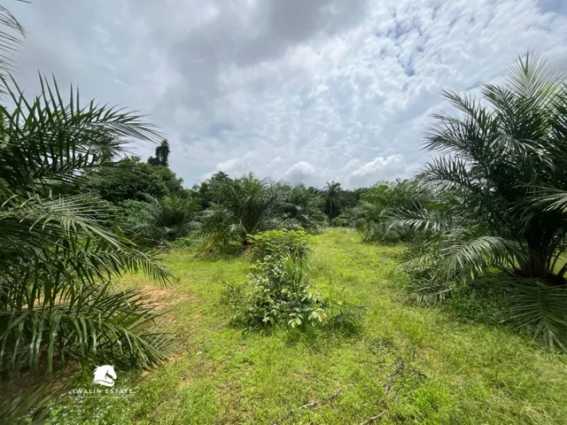 Land Nong Thale 6-2-31.2