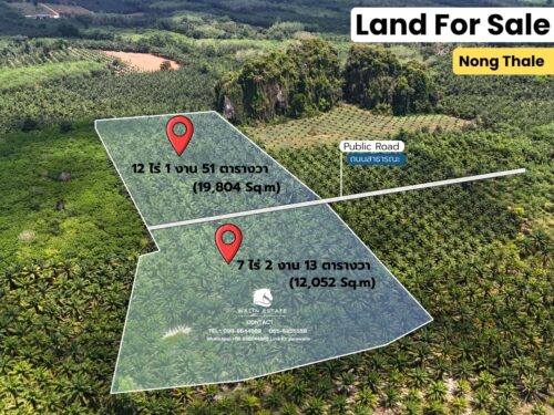Land Nong Thale 20-0-0